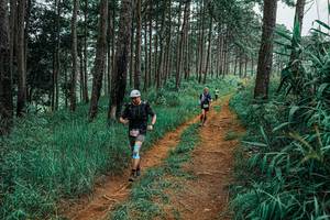 BIB: 
                            <button type="button" onclick="openModal(25657224)" class="btn btn-primary btn-sm float-right btn-popup" data-toggle="modal" data-target=".modal-high-quality">
                        <i class="fas fa-shopping-cart"></i> Add to Cart
                    </button>
                                            <button type="button" onclick="isThisMe(25657224, true)" class="btn btn-success btn-sm float-right btn-popup btn-isme hidden" data-toggle="tooltip" data-placement="bottom" title="นี่คือรูปของคุณใช่ไหม คลิกที่นี่เพื่อเอาเข้าอัลบั้ม">
                        <i class="fas fa-plus"></i> Add to album
                    </button>
                    <button type="button" onclick="isThisMe(25657224, false)" class="btn btn-warning btn-sm float-right btn-popup btn-isnotme hidden">
                        <i class="fas fa-ban"></i> Remove from album
                    </button>